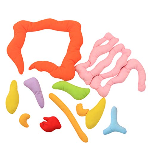 KAKIBLIN 3D Organ Apron, Anatomy Apron Human Body Organs Awareness