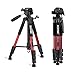 JOILCAN 65” Camera/Tablet/Phone Tripod, Aluminum Lightweight Tripod Stand 11 lbs Load with Universal Phone/Tablet Mount,2PC Quick Plates for Cannon Nikon Camera,IPAD and iPhone(Red)