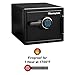SentrySafe Fireproof and Waterproof Steel Home Safe with Digital Keypad Lock, Secure Documents, Jewelry and Valuables, 0.82 Cubic Feet, 13.7 x 16.3 x 19.3 Inches, SFW082F