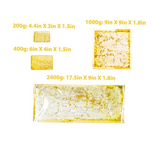 Great Bazaar All-Natural Raw Honeycomb Acacia Honey Comb, 1kg (2.2lb)