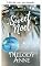 Livro Doce Noel — Noel (Os Andersons, Livro 13)
