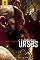 Livro Clube dos Ursos