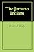 The Jumano Indians by Frederick Hodge