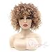 Vigour Beauty Wigs for Black Women Afro Kinky Wig Short Curly Wigs Blonde and Brown Ombre Wig Heat Resistant Fiber 14'' with Wig Cap