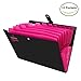 HAISSKY Yigou Expanding File Folders 12 Pockets Accordion File Folder A4 and Letter Size Paper Document Organizer Folders for School Office (Black)