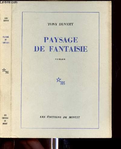 Paysage De Fantaisie Roman Duvert Tony Amazon Com Books