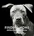 Finding Home: Shelter Dogs and Their Stories (A photographic tribute to rescue dogs) by Traer Scott