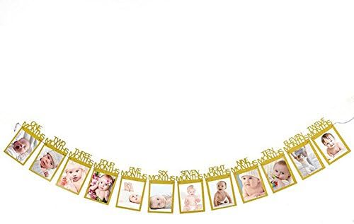 Monthly Milestone Photo banner-Gold glitter for Newborn to 12 months. Great for 1 Year old Celebration, 1-12 month Photograph Garland, Baby Shower Gift