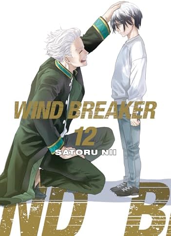 WIND BREAKER 21: Nii, Satoru: 9798888776476: Amazon.com: Books
