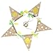 OULII Yellow Lemon Theme Banner Flag Garland Baby Anniversary Birthday Baby Shower Party Decoration