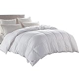 Queen Size Winter Duvet White Goose Down Comforter Cotton Cover (Queen)
