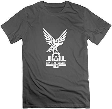 TIANYI Men Crystal Palace Fc Cotton Tees L DeepHeather