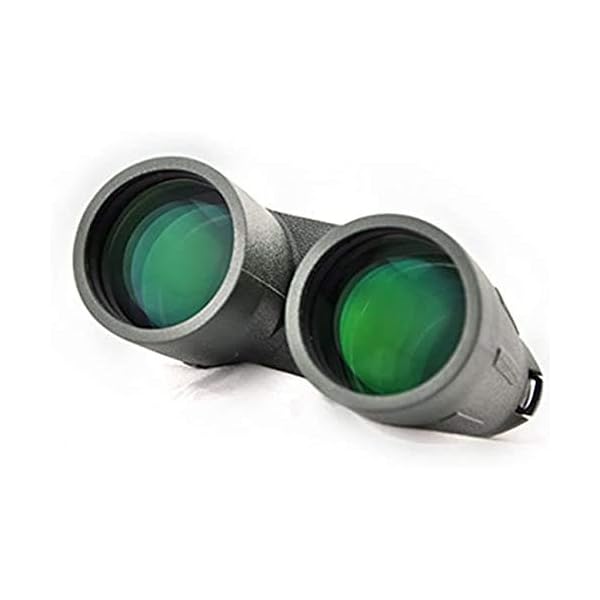 RUXMY Spektive für die Vogelbeobachtung, Celestron-Spektiv, Fernglas 12x56 Vogelbeobachtung Wasserdicht Bak4 Fogproof… – Bild 4