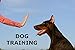 SAFETY-SPORT DOG HORN (Combo Pack Horn & Holster)