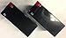 UPG 12V 10Ah New Battery for EZIP Scooter 4.0, 400, 450, 500-2 Pack