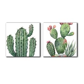 2 Panel Square Canvas Wall Art - Watercolor Style Cactus on White Background - Giclee Print Gallery Wrap Modern Home Art Ready to Hang - 12"x12" x 2 Panels