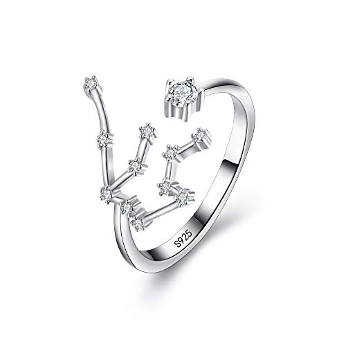 BriLove 925 Sterling Silver CZ Statement Ring for Women -"Aquarius" Horoscope Zodiac 12 Constellation Astrology Adjustable Ring