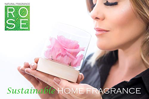 Sustainable Home Scent 12oz. A Real Fragrance Flower with Lasting abilities Similar to Scented Candle, Wax and Aroma Diffuser (Purple/Fragrance ILE de Jacaranda)