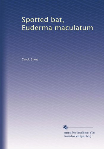 Spotted bat, Euderma maculatum