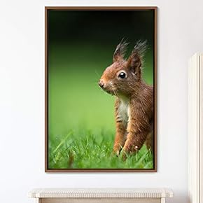 signwin Framed Canvas Wall Art Squirrel Animals Fun...
