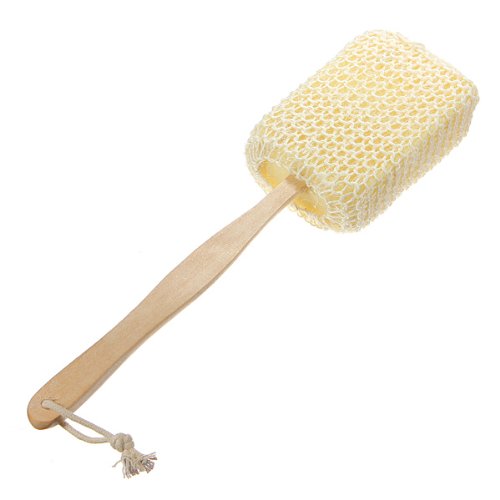 Brosse De Bain Douche Éponge Long Manche En Bois Soins Du Corps Bath