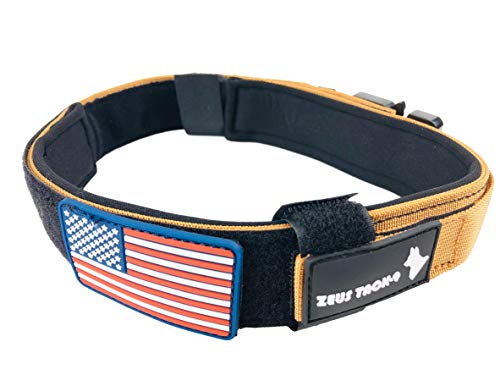 tactical dog collar with name patch