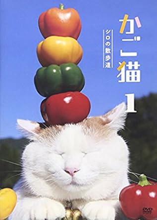 Amazon Com かご猫1 シロの散歩道 Dvd Movies Tv