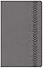 CSB Essential Teen Study Bible, Personal Size, Gray LeatherTouch