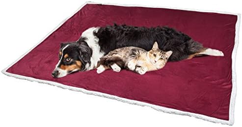 KritterWorld Pet Microplush Sherpa Snuggle Blanket, 50-Inch-by-60-Inch, Wine