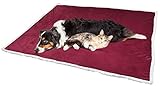 KritterWorld Pet Microplush Sherpa Snuggle Blanket, 50-Inch-by-60-Inch, Wine