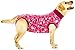 Suitical Recovery Suit for Dogs | Spay and Neutering Dog Surgery Recovery Suit for Male or Female | Soft Fabric for Skin Conditions | M+ | Neck to Tail 24.0”-28.3” | Pink Camouflage
