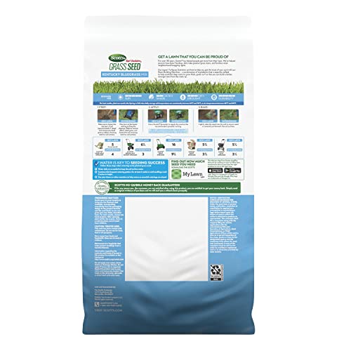 Scotts Turf Builder Grass Seed Kentucky Bluegrass Mix with Fertilizer