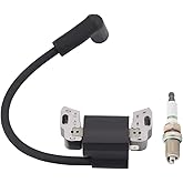 Hipa 593872 Ignition Coil Armature Magneto for BS 593381 799582