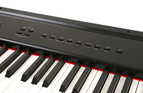 Artesia PA-88H 88-Key Weighted Hammer Action Digital Piano with Sustain Pedal and Power Supply, Black