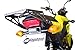 Vagabond Motorsports VM-HG750 Cargo Rack & Fender Eliminator Bundle Compatible with Honda Grom / MSX125 (2017+)