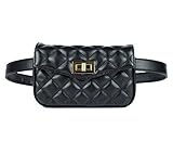 Womens Elegant Fanny Pack