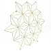 Cevillo Stylish Wire Metal Wall Grid Panel – Perfect as Photo Frame, Office Organization – Gold Multi-Functional Wall Storage Display (Gold | Angles)