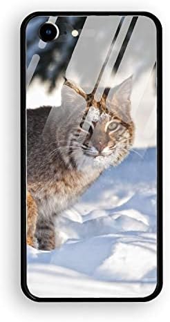 Hard Rigid Tempered Glass Back Cover for iPhone 7/8, Animal Bobcats Back Glass Plastic Interior Anti Slip TPU Silicone Bumper Case for iPhone 8/7
