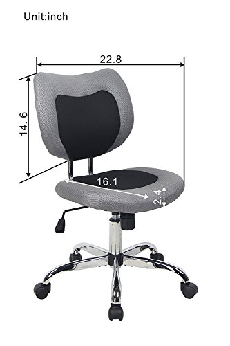 Bonum Swivel Desk Office Chair Low Back Armless Task Study Chair Adjustable Seat Height Mesh Home Chair - Black (Black)