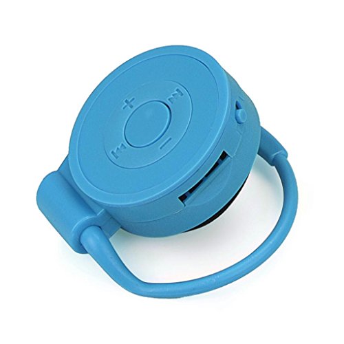 DZT1968 Sport Running Earhook USB Digital Hanging ear MP3 Music Player Support 32GB Micro SD TF Card (Blue)