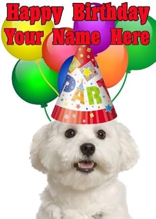 Biglietto D Auguri Cane Maltese Con Cappello Da Festa Formato A5 Per Compleanno Personalizzabile Con Scritte In Lingua Inglese Amazon It Cancelleria E Prodotti Per Ufficio