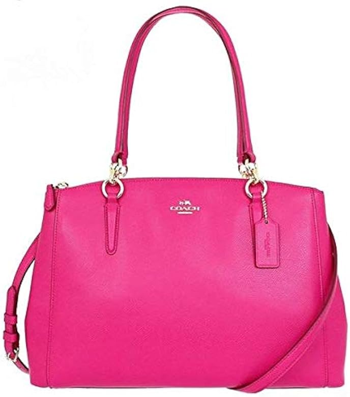 coach christie carryall mini
