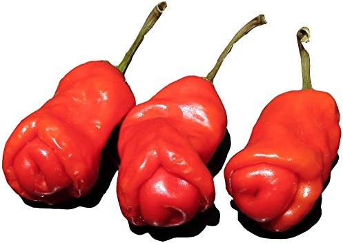 Wayland Chiles Peter Pepper Seeds (Mini)