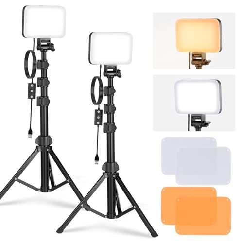 NEEWER BASICS LED Videolicht Panel Beleuchtungsset, 2er Pack Bi Color dimmbare tragbare Studioleuchten mit Ständern Filtern, 3200K~5600K CRI 95 750Lux