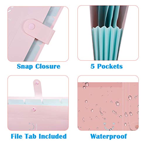 Selizo 6 Pcs Expanding File Folders with 5 Pockets Plastic A4 Letter Size Document Organizer and 168 Pcs File Folder Labels for School and Office