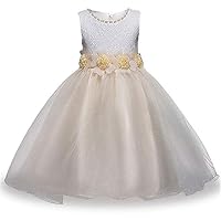 Hoxekle Summer Flower Girl Dress Ball Gowns Kids Dresses Girls Party Princess Wedding Birthday Dress for 3-14 Years Champagne