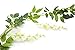 5pack Flower Garland Artificial Wisteria Garland Vines Faux Wisteria Vine Fake Hanging Flowers for Wedding Floral Decor-Total 33ft (White)