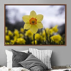 signwin Framed Canvas Wall Art Flora Snapshot Closeup...