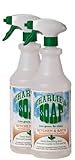 Charlie's Soap - Kitchen and Bath Household Cleaner, Non-Toxic, Biodegradable, Multi-Surface Use - (32 oz, 2 Pack)