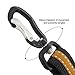 Kurgo Direct to Seatbelt Swivel Tether - Easy-Use Dog Car Harness Clip - Adjustable Ride Strap - Universal Fit for Most Vehicles - All Steel Hardware - Backseat Restraint - Orange